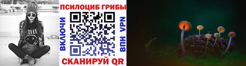 цена наркотик  Сатка  Галлюциногенные грибы Psilocybe 
